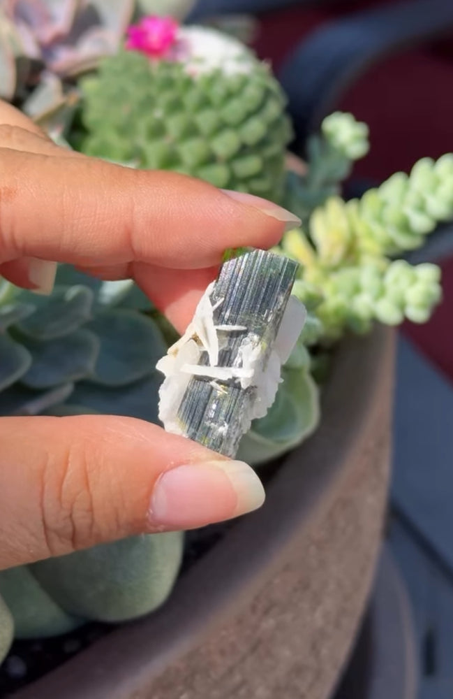 
                  
                    RESERVED LISTING - melty82
                  
                