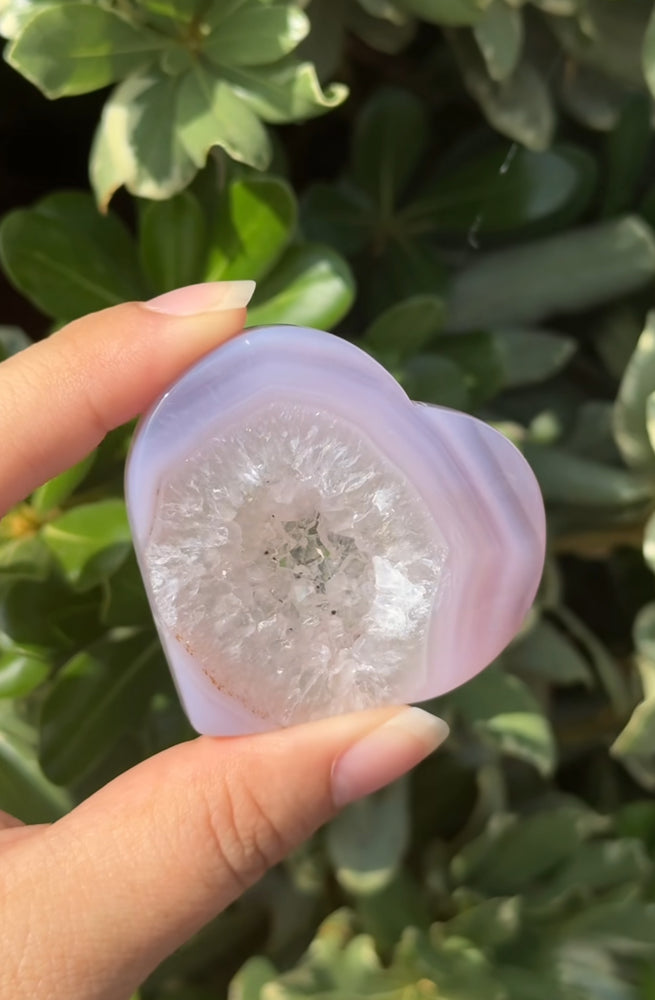 
                  
                    RESERVED LISTING - c_genesisallison87
                  
                