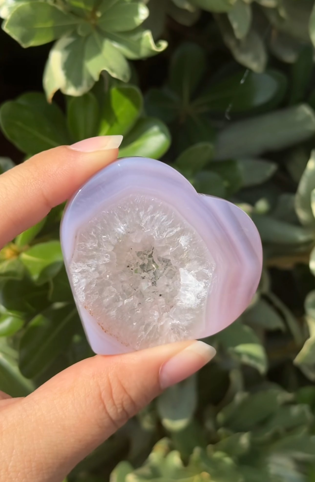 
                  
                    RESERVED LISTING - c_genesisallison87
                  
                