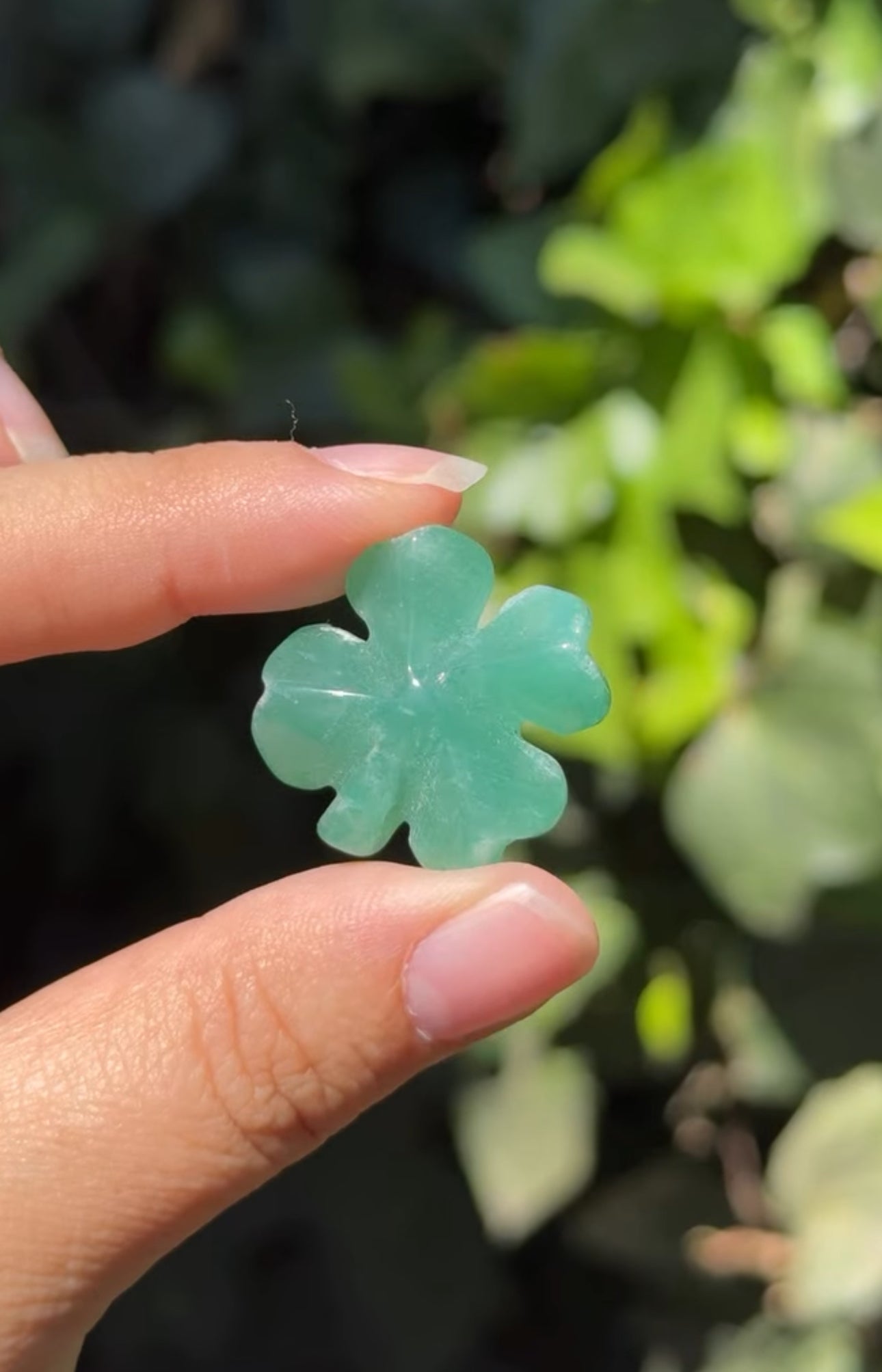 
                  
                    RESERVED LISTING - erinfetz
                  
                