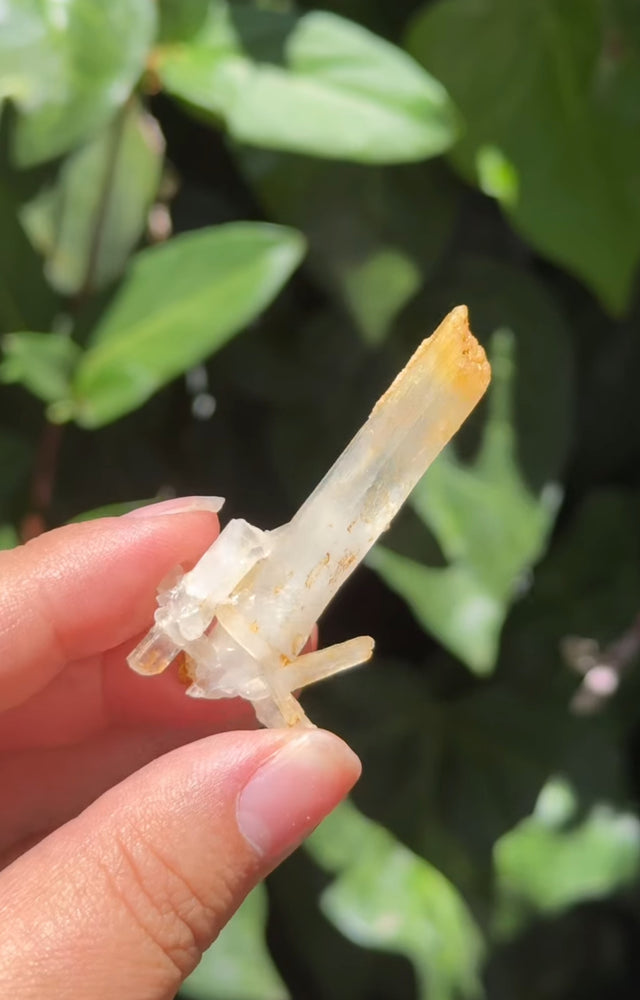 
                  
                    RESERVED LISTING - catniss_evergreen
                  
                