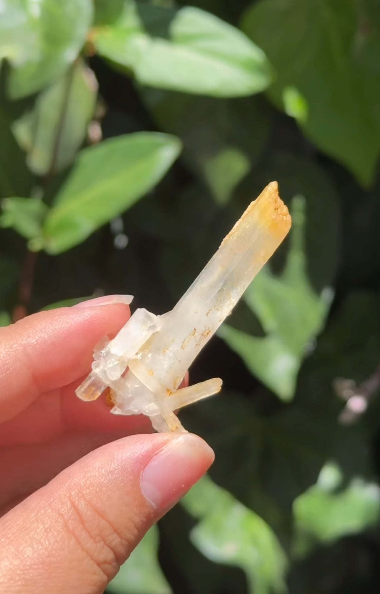 
                  
                    RESERVED LISTING - catniss_evergreen
                  
                