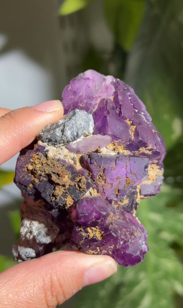 
                  
                    RESERVED LISTING - leftoverlexapro
                  
                