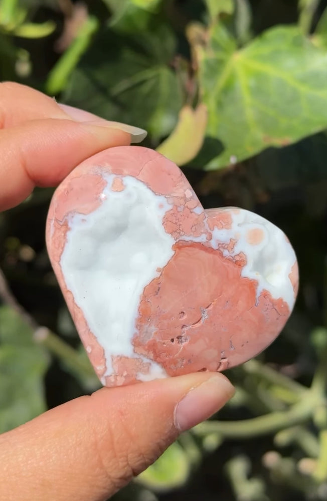 
                  
                    RESERVED LISTING - glamourfly
                  
                