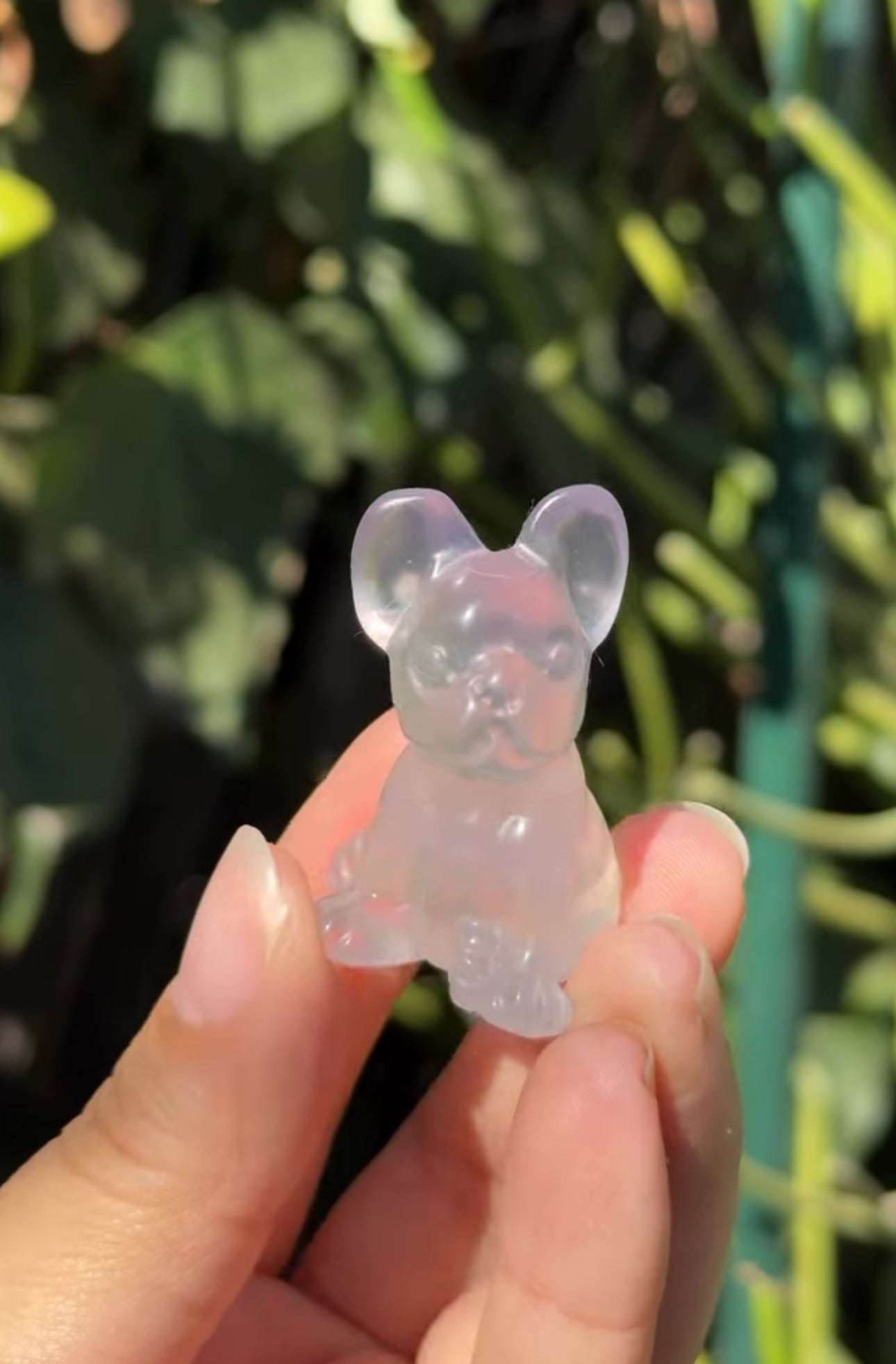 
                  
                    RESERVED LISTING - rue.lew
                  
                