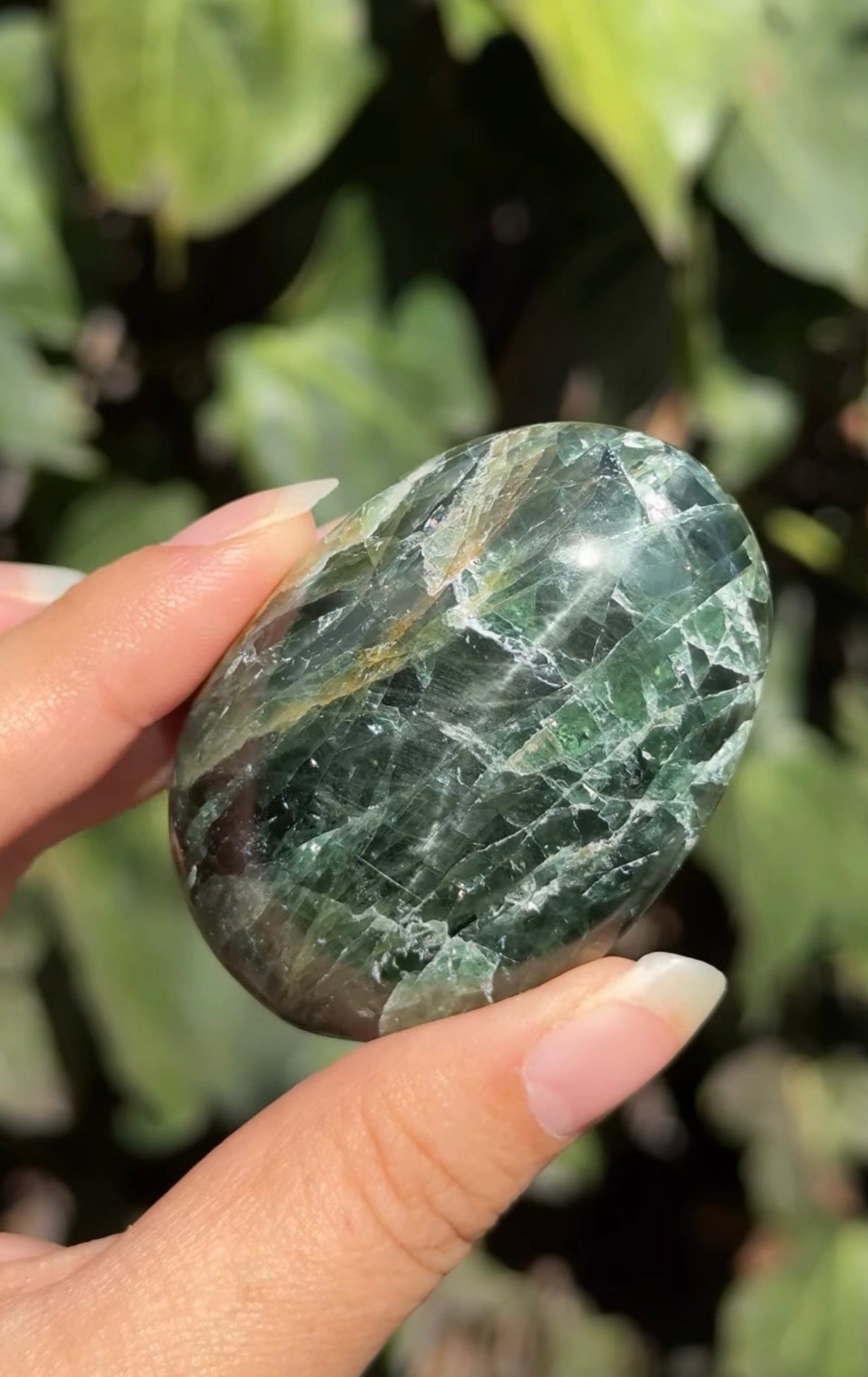 
                  
                    RESERVED LISTING - romae.aquino
                  
                