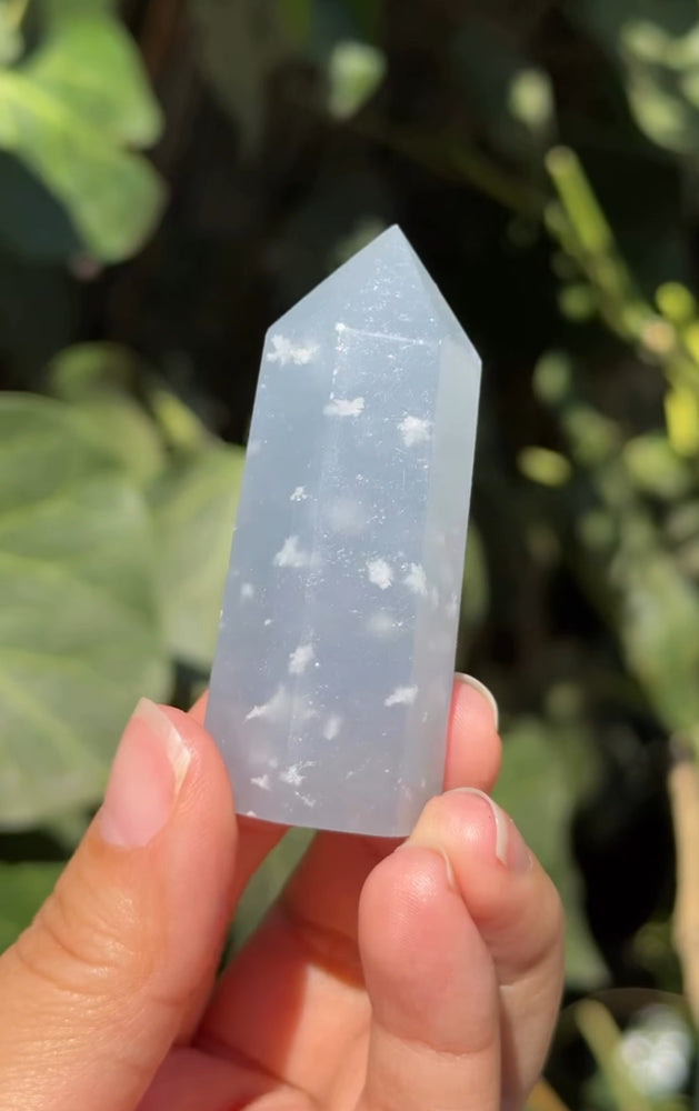 
                  
                    RESERVED LISTING - rock_sonofrocks
                  
                