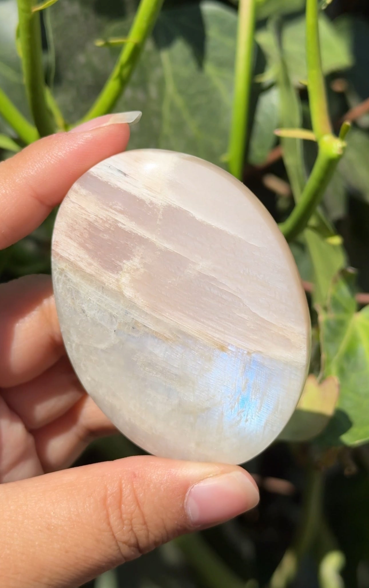 
                  
                    RESERVED LISTING - athleticdancerdialogue
                  
                