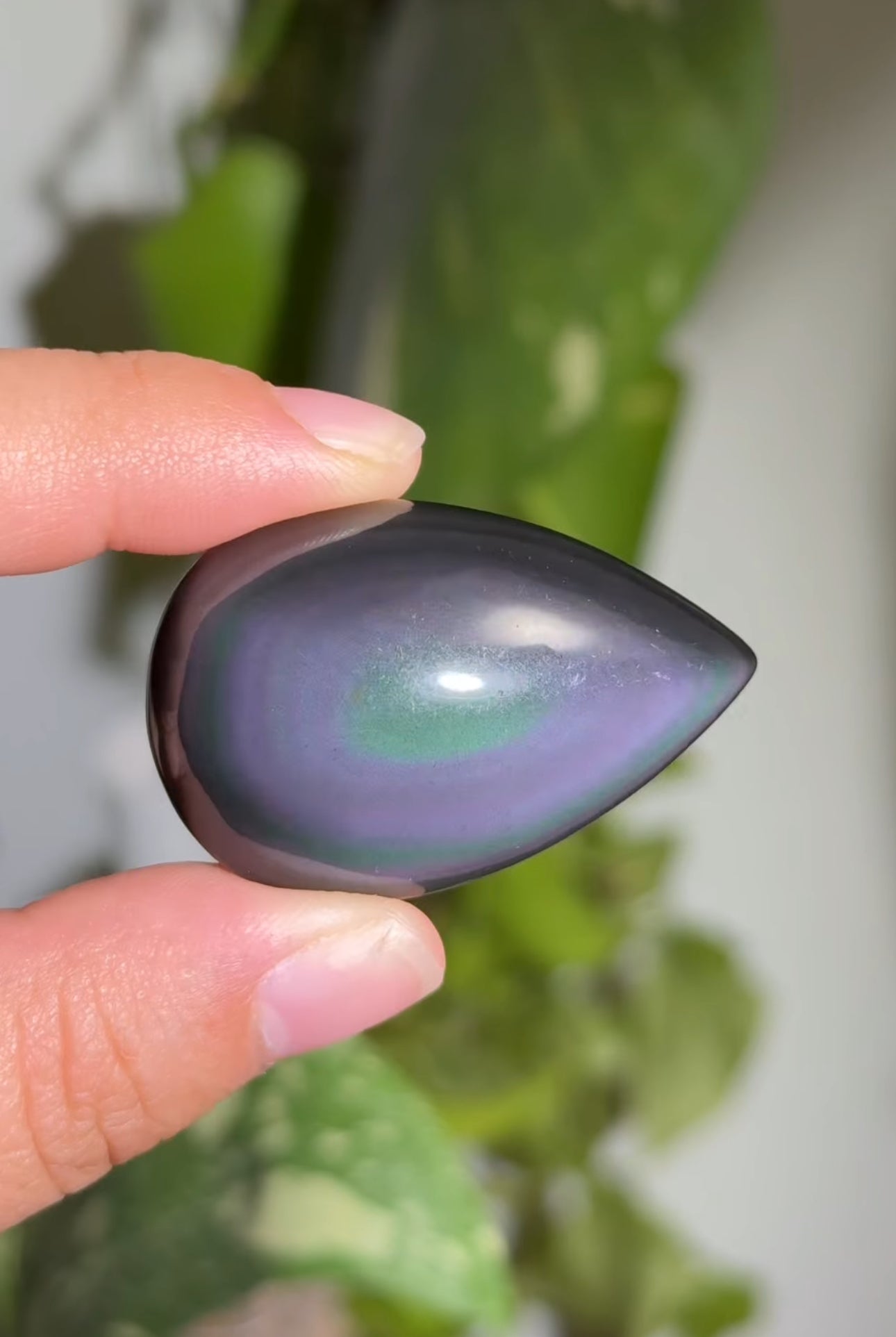 
                  
                    RESERVED LISTING - kelseyplanslife
                  
                