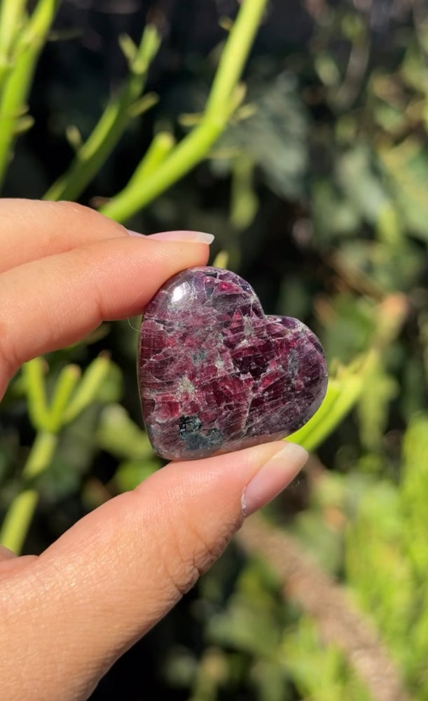 
                  
                    RESERVED LISTING - erinfetz
                  
                