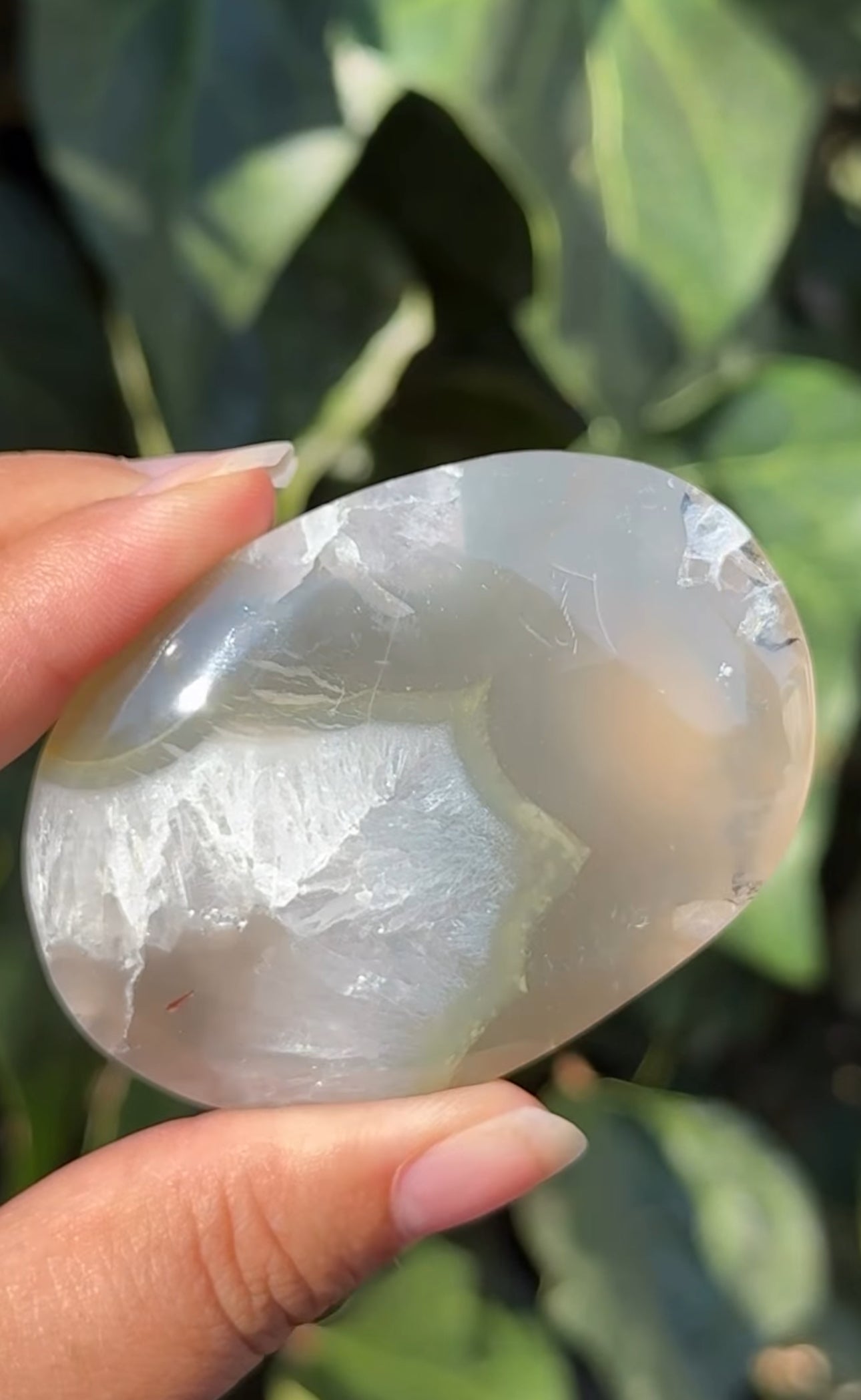 
                  
                    RESERVED LISTING - solarly_challenged
                  
                