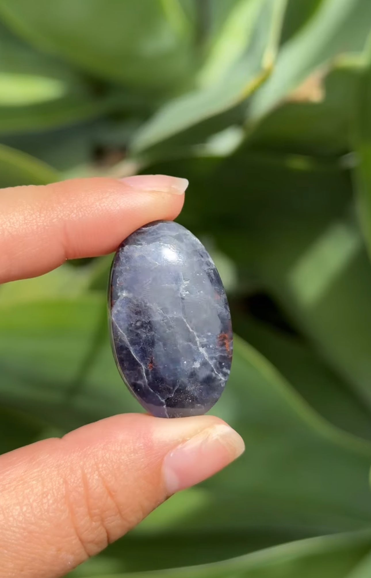 
                  
                    RESERVED LISTING - rosenightshadow
                  
                