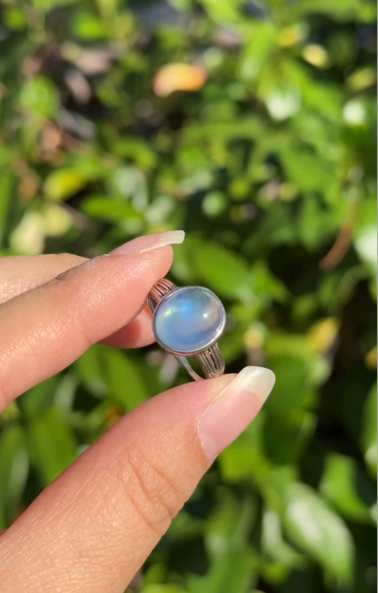 
                  
                    RESERVED LISTING - soupper
                  
                