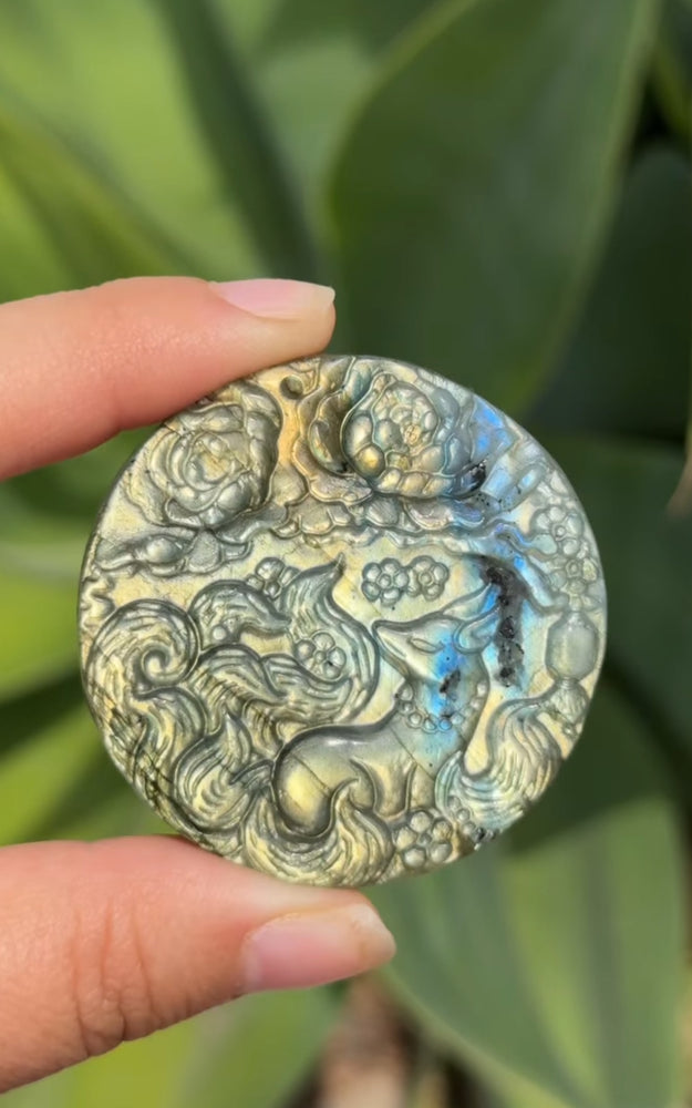 
                  
                    RESERVED LISTING - allensdfw
                  
                