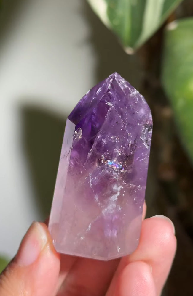 
                  
                    RESERVED LISTING - romae.aquino
                  
                