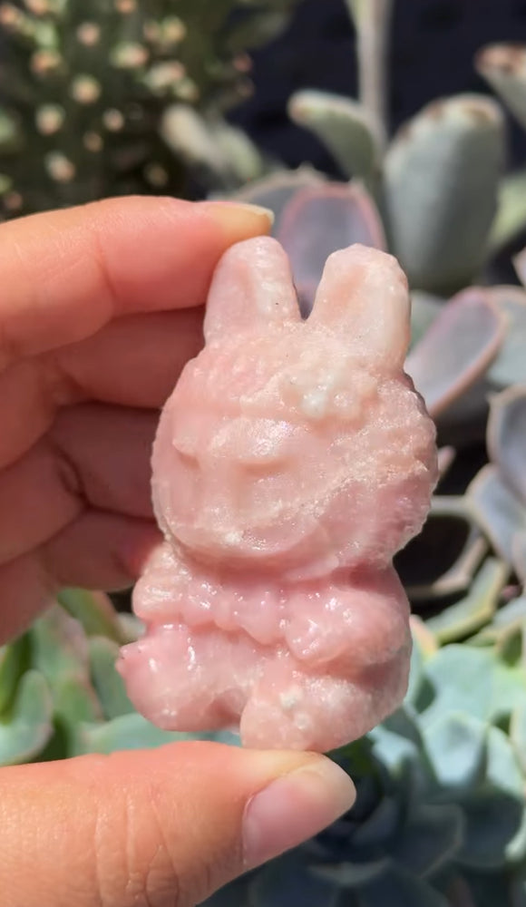 
                  
                    RESERVED LISTING - lex.5001
                  
                