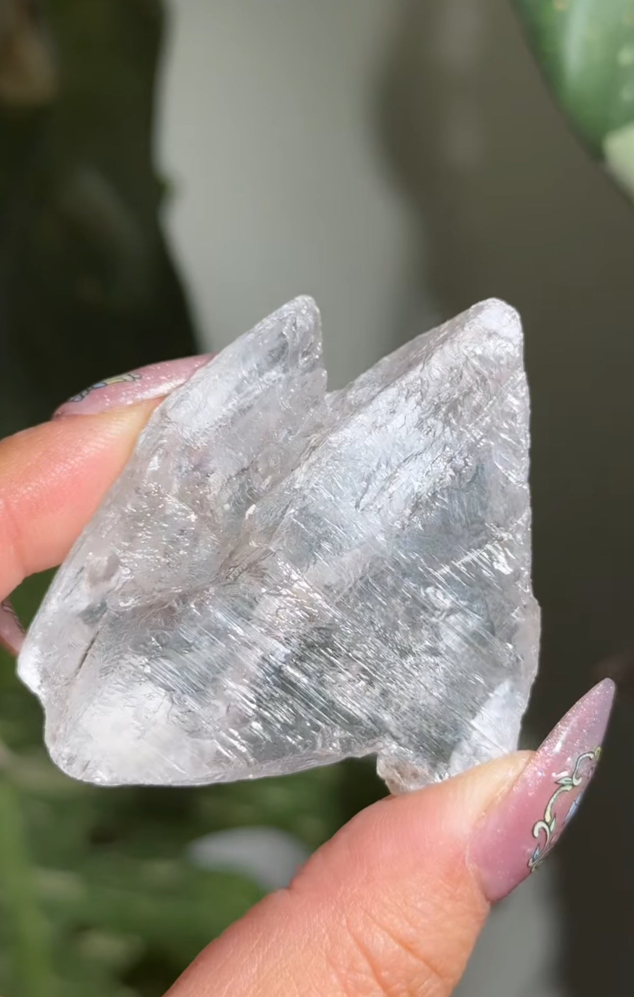 
                  
                    RESERVED LISTING - leftoverlexapro
                  
                