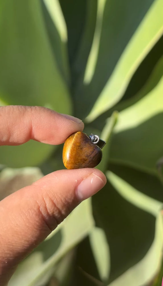 
                  
                    RESERVED LISTING - erinfetz
                  
                