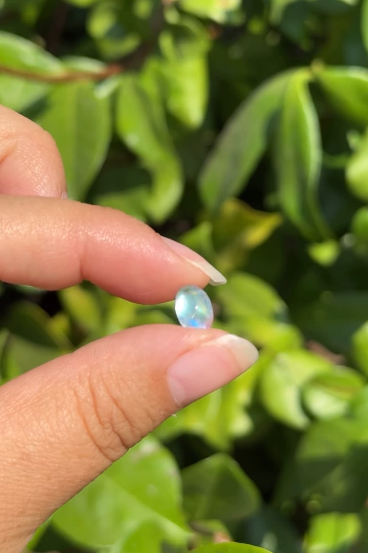 
                  
                    RESERVED LISTING - soupper
                  
                