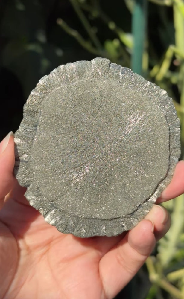 
                  
                    RESERVED LISTING - romae.aquino
                  
                