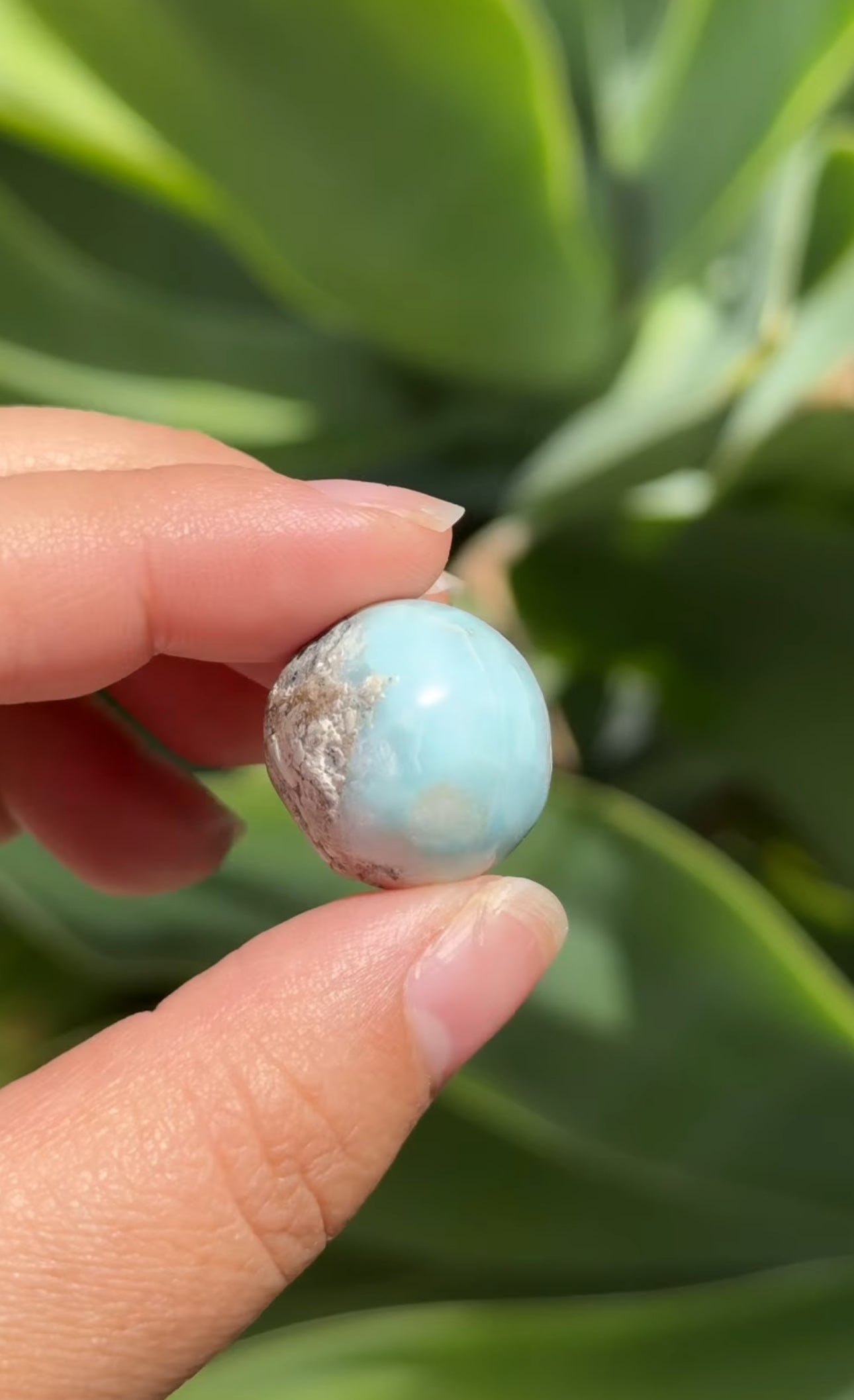 
                  
                    RESERVED LISTING - rosenightshadow
                  
                