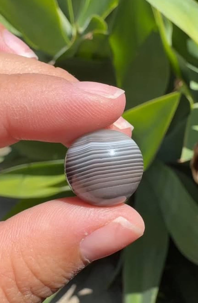 
                  
                    RESERVED LISTING - kelseyplanslife
                  
                