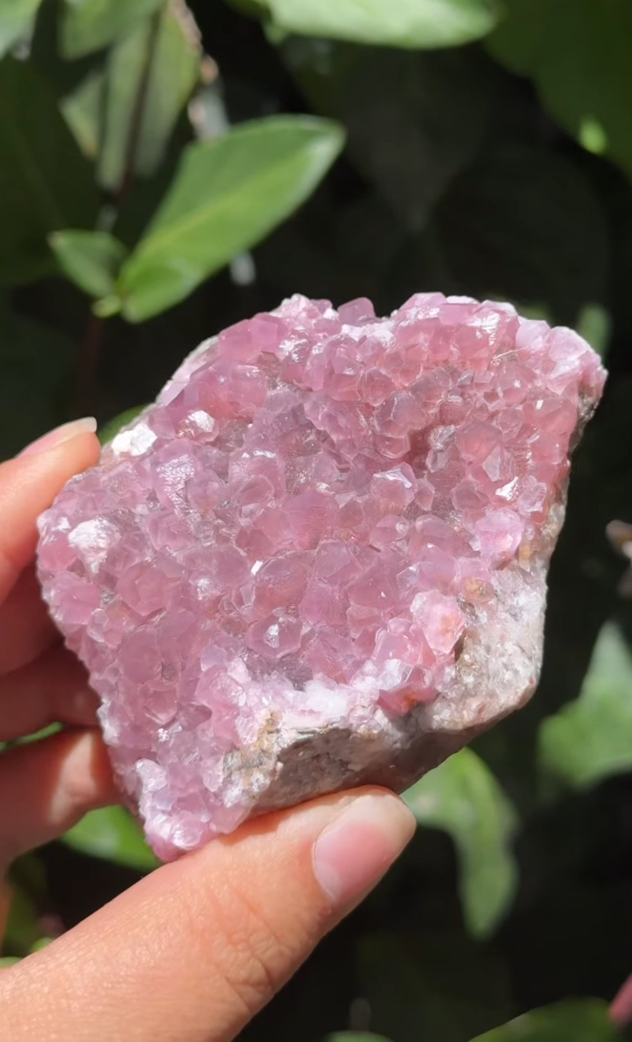 
                  
                    RESERVED LISTING - leftoverlexapro 3/4
                  
                