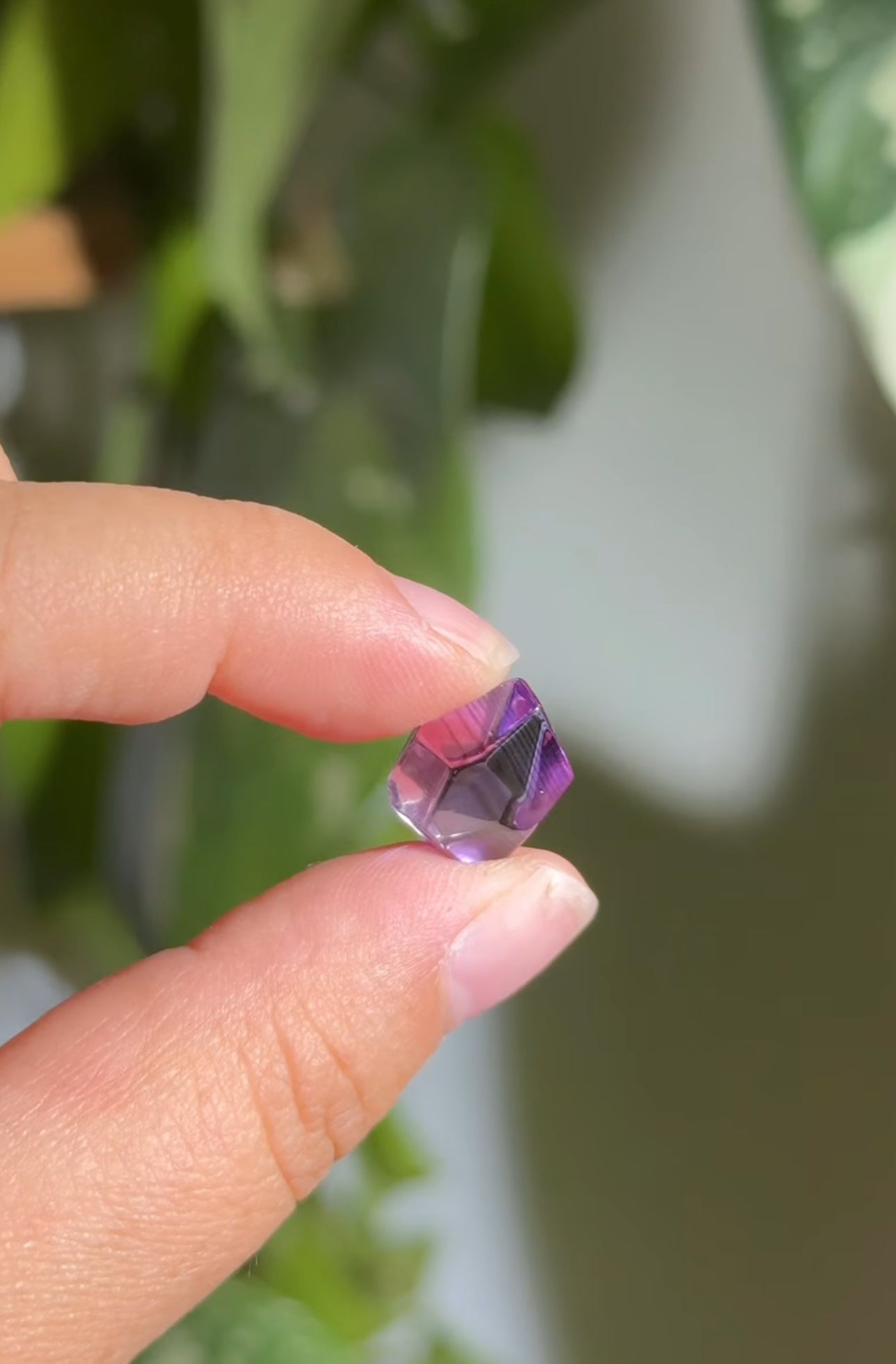 
                  
                    RESERVED LISTING - kelseyplanslife
                  
                