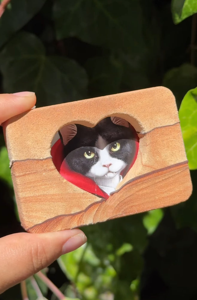 
                  
                    RESERVED LISTING - catniss_evergreen
                  
                