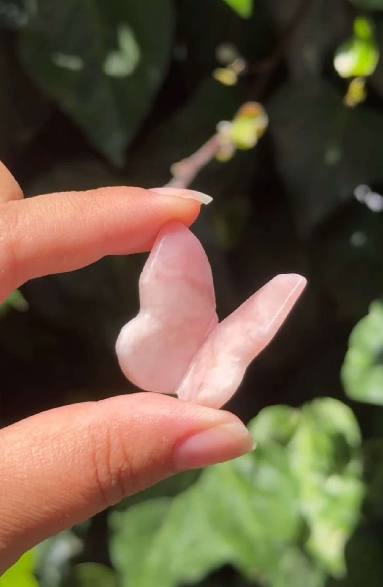 
                  
                    RESERVED LISTING - cindyr1776
                  
                