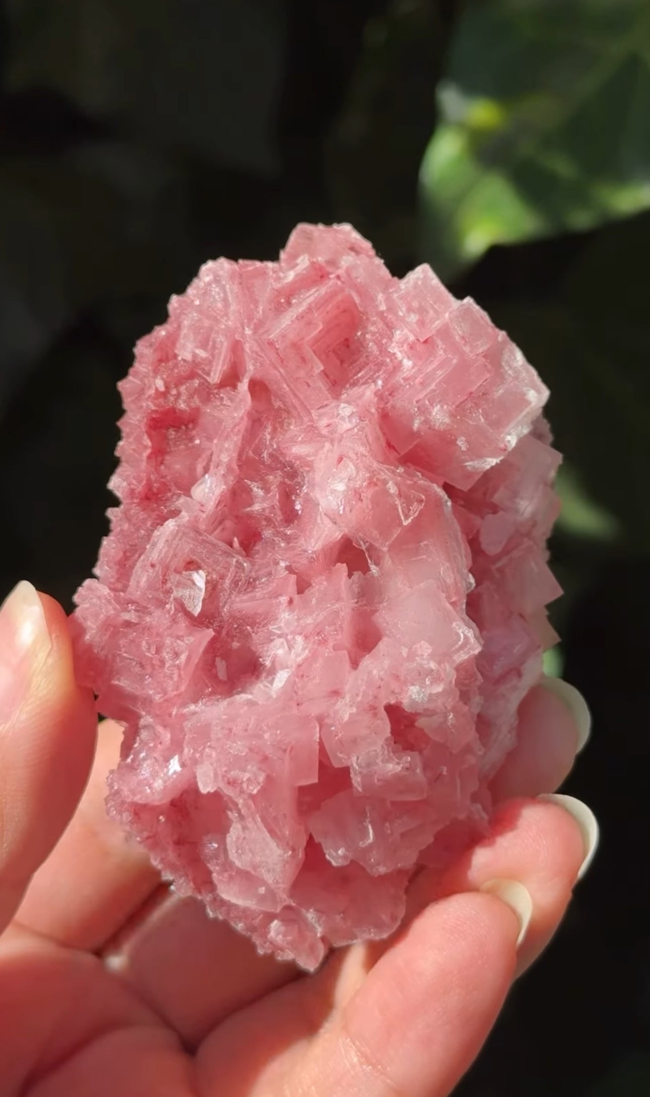 
                  
                    RESERVED LISTING - melty82
                  
                