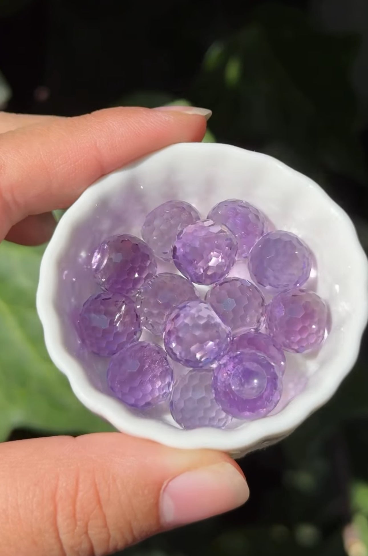 
                  
                    RESERVED LISTING - jval
                  
                