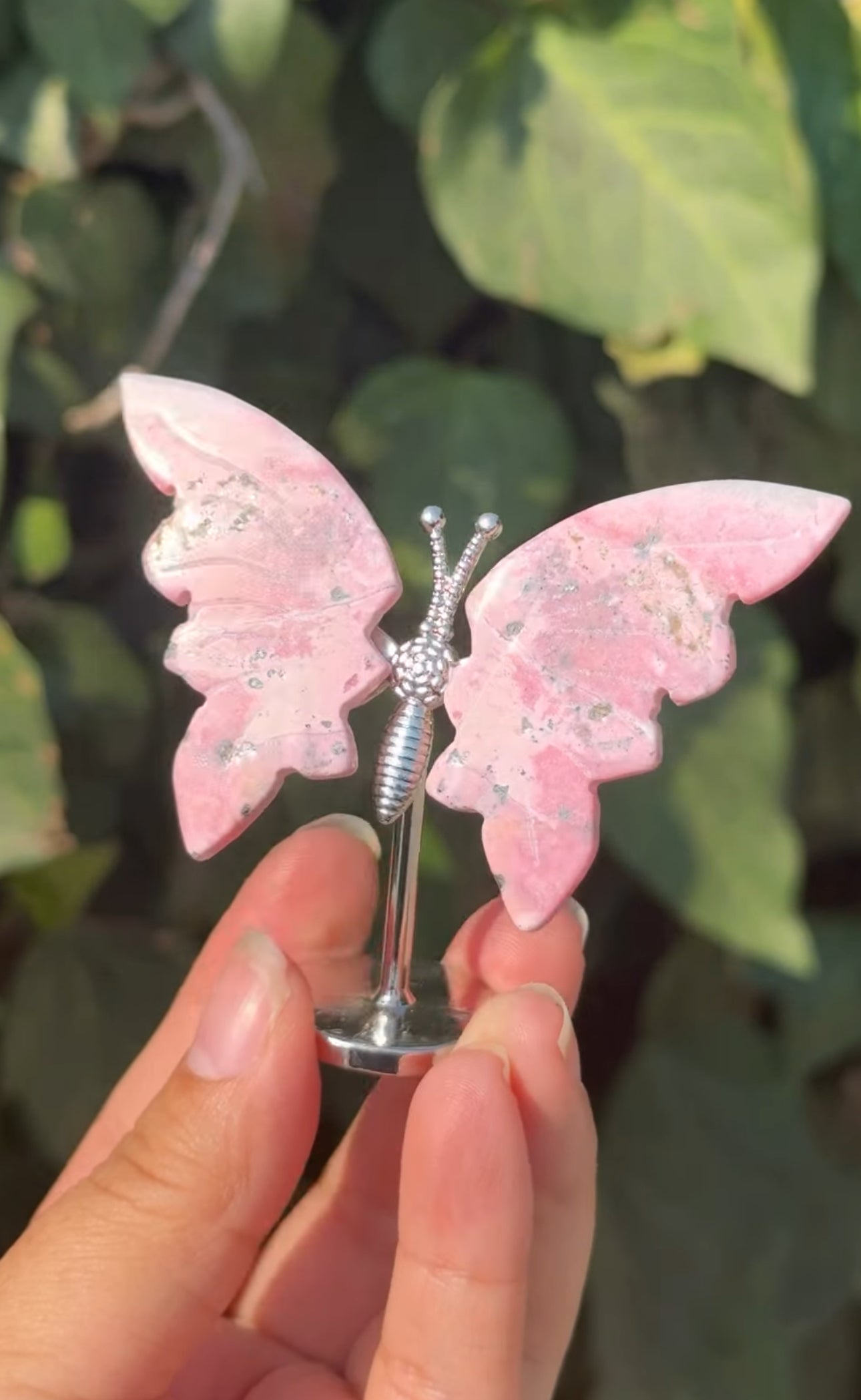 
                  
                    RESERVED LISTING - c_genesisallison87
                  
                