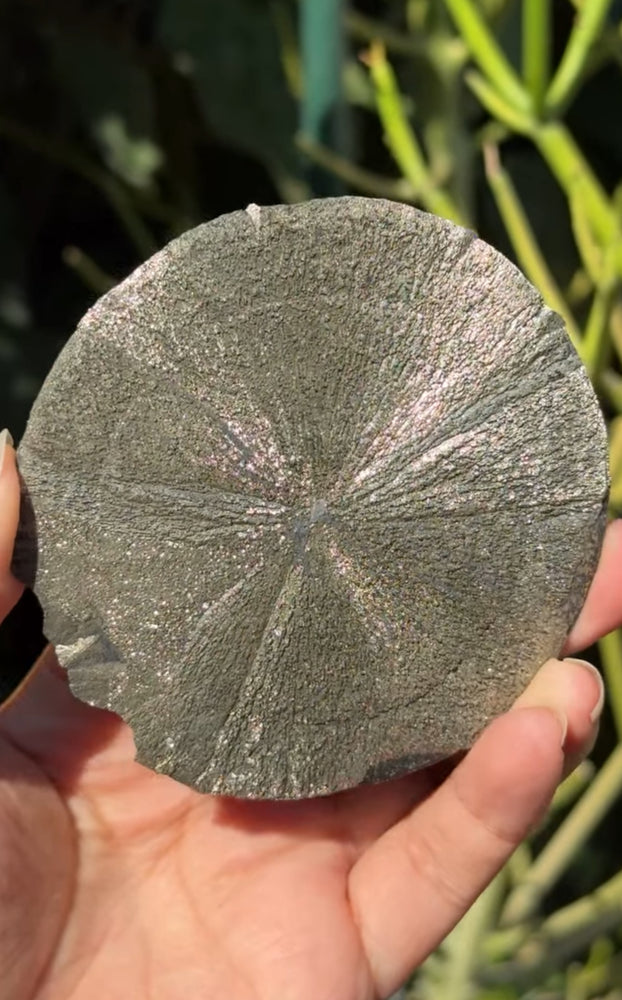 
                  
                    RESERVED LISTING - carly.cylar_
                  
                