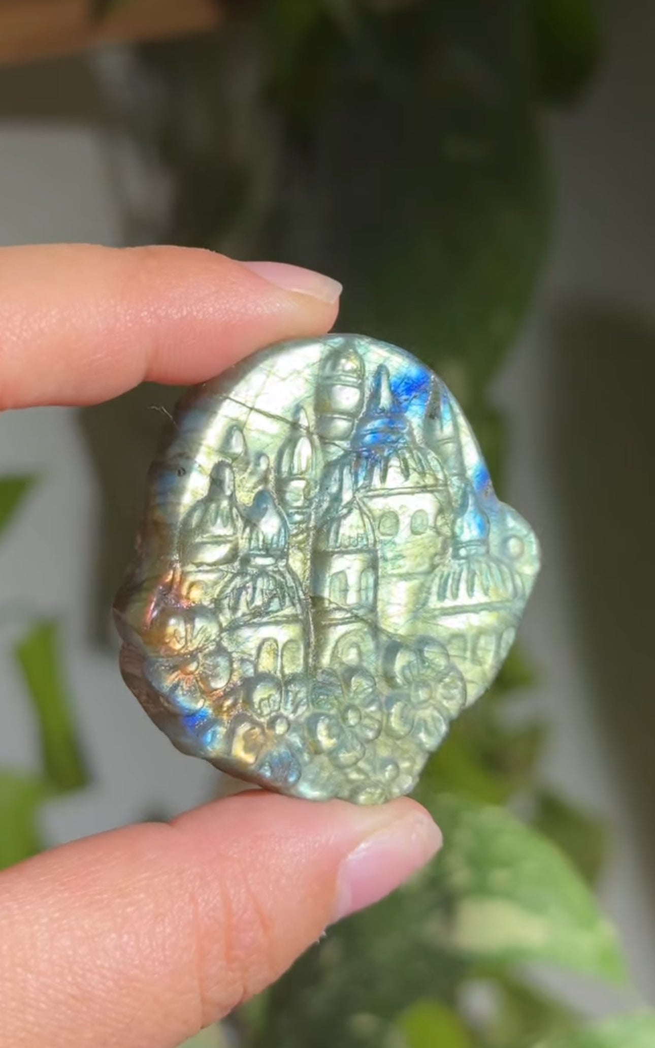 
                  
                    RESERVED LISTING - jval
                  
                