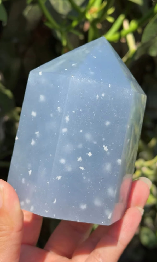 
                  
                    RESERVED LISTING - c_genesisallison87
                  
                