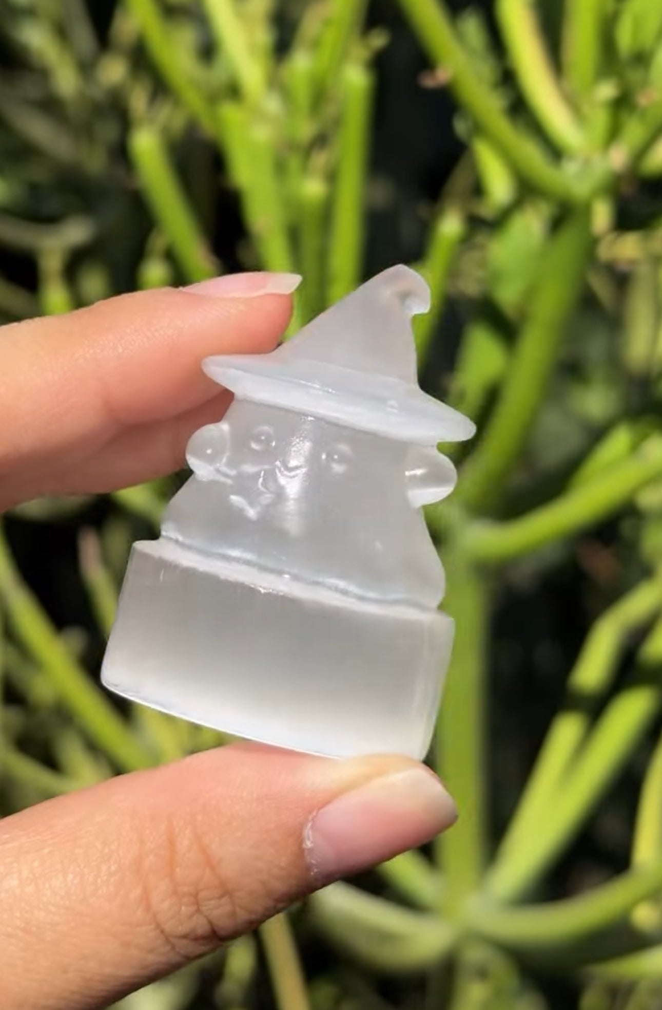 
                  
                    RESERVED LISTING - jval
                  
                