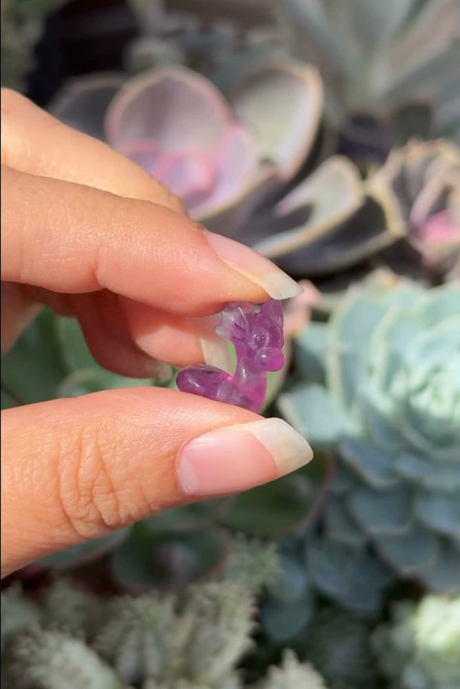 
                  
                    RESERVED LISTING - suzettesuzy
                  
                