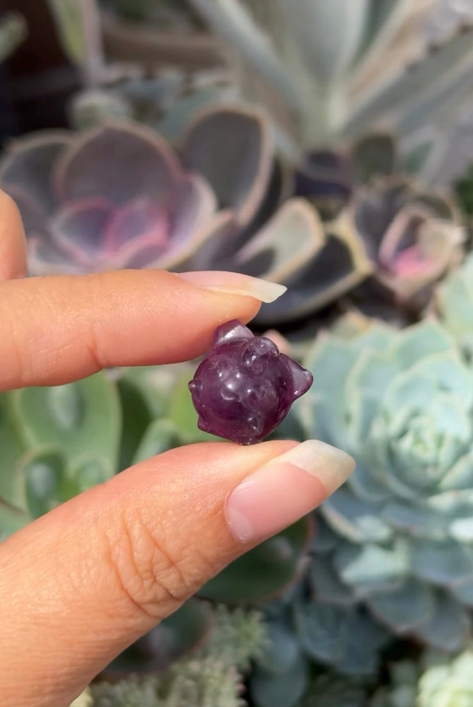 
                  
                    RESERVED LISTING - bitshbabe
                  
                