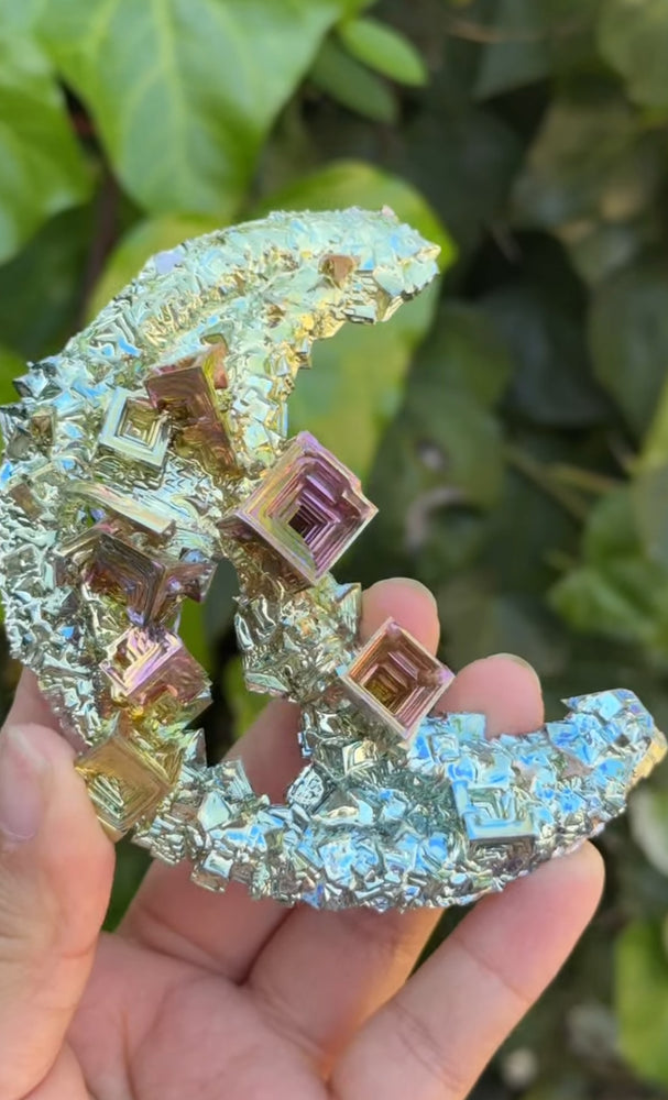 
                  
                    RESERVED LISTING - freedom.to.express
                  
                