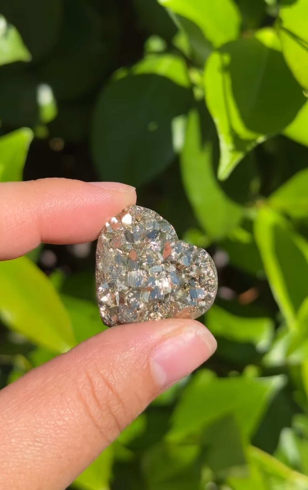 
                  
                    RESERVED LISTING - jvalentine9x
                  
                