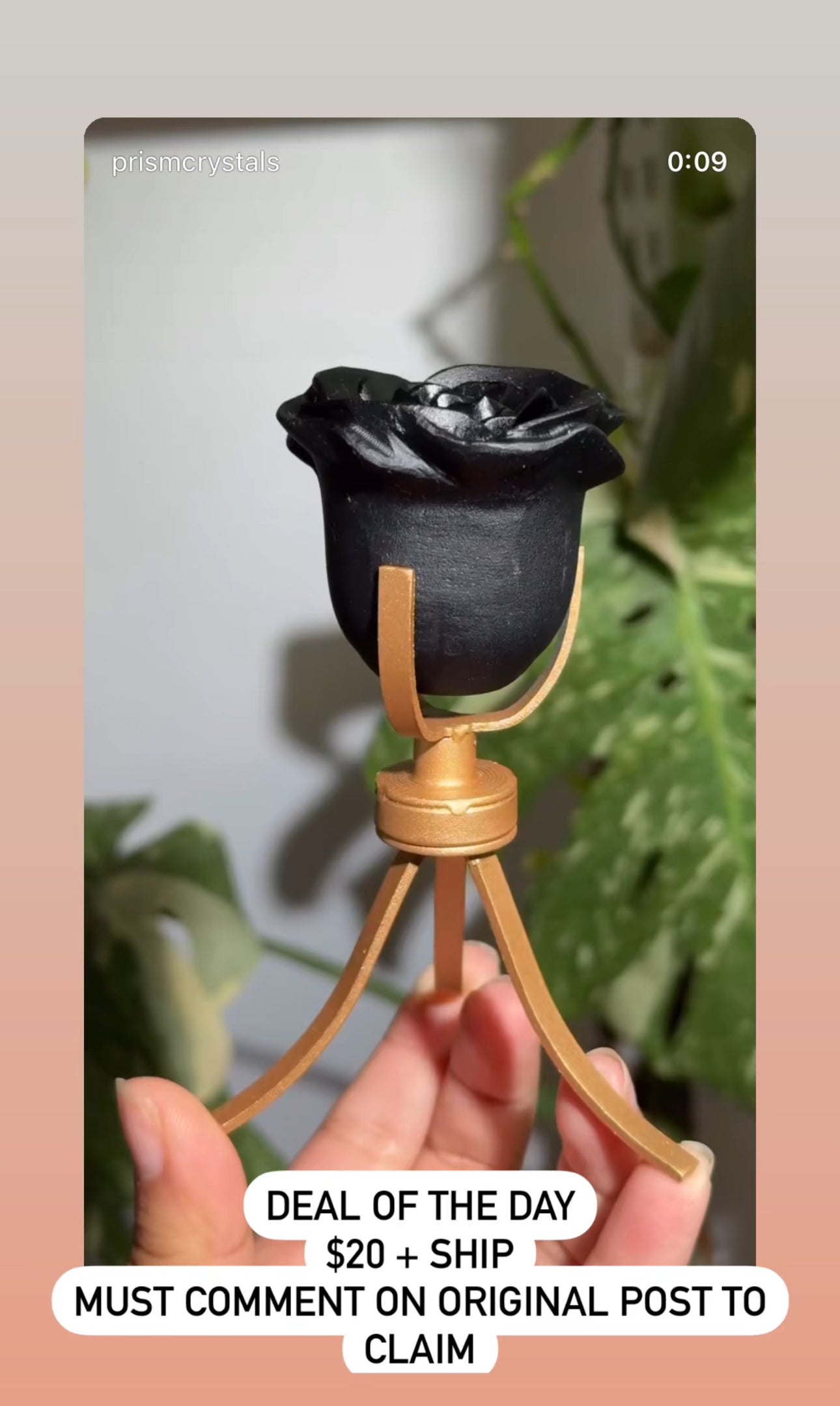 
                  
                    RESERVED LISTING - catniss_evergreen
                  
                