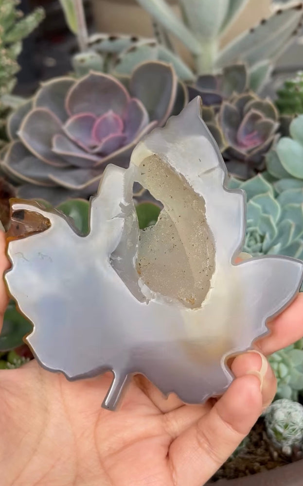 
                  
                    RESERVED LISTING - c_genesisallison87
                  
                