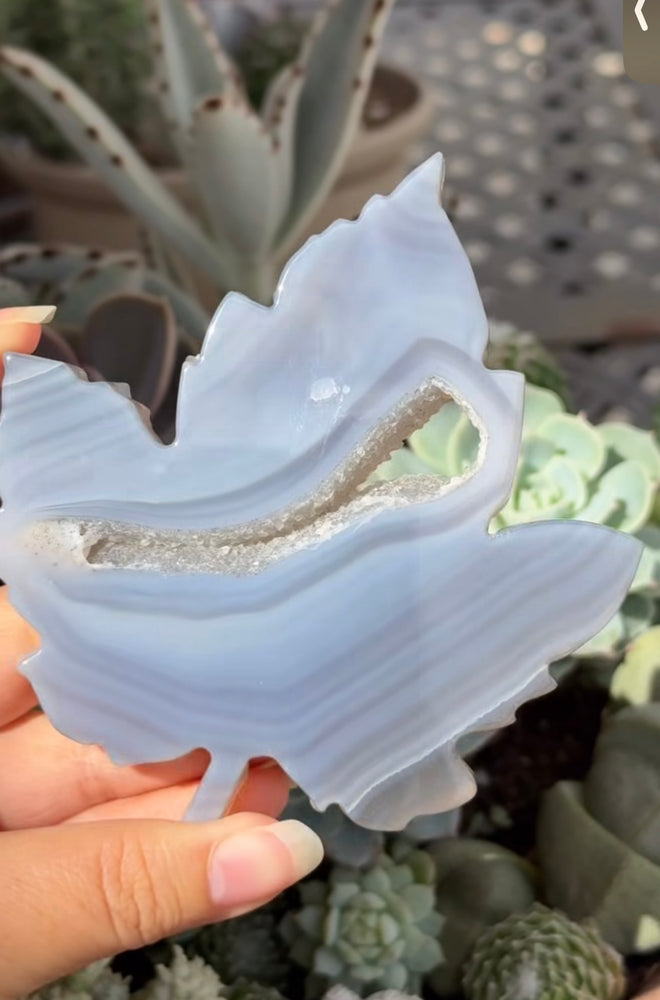 
                  
                    RESERVED LISTING - krystal.creature
                  
                