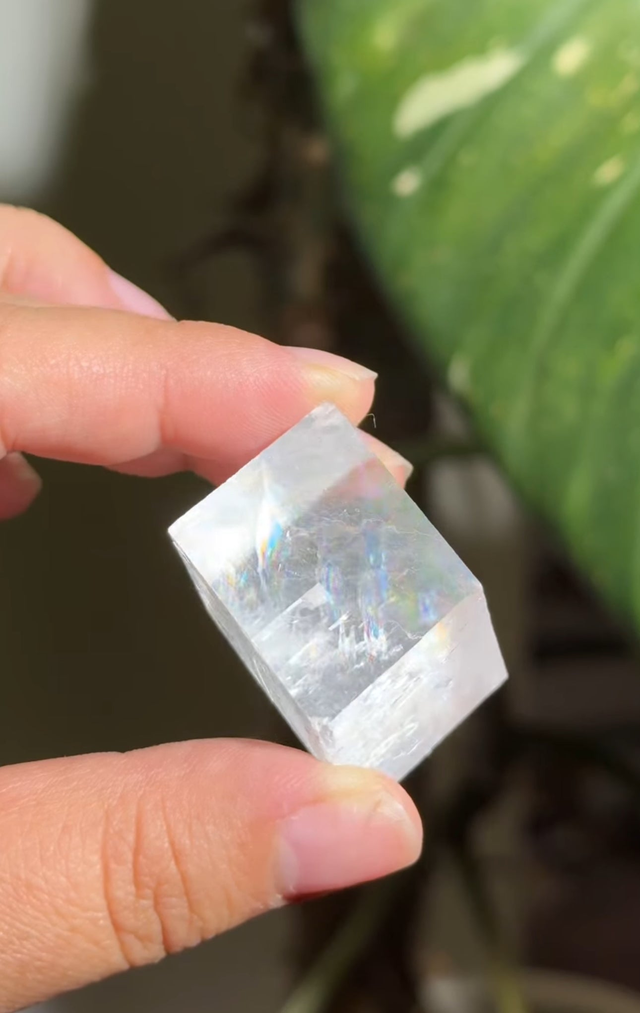 
                  
                    RESERVED LISTING - romae.aquino
                  
                