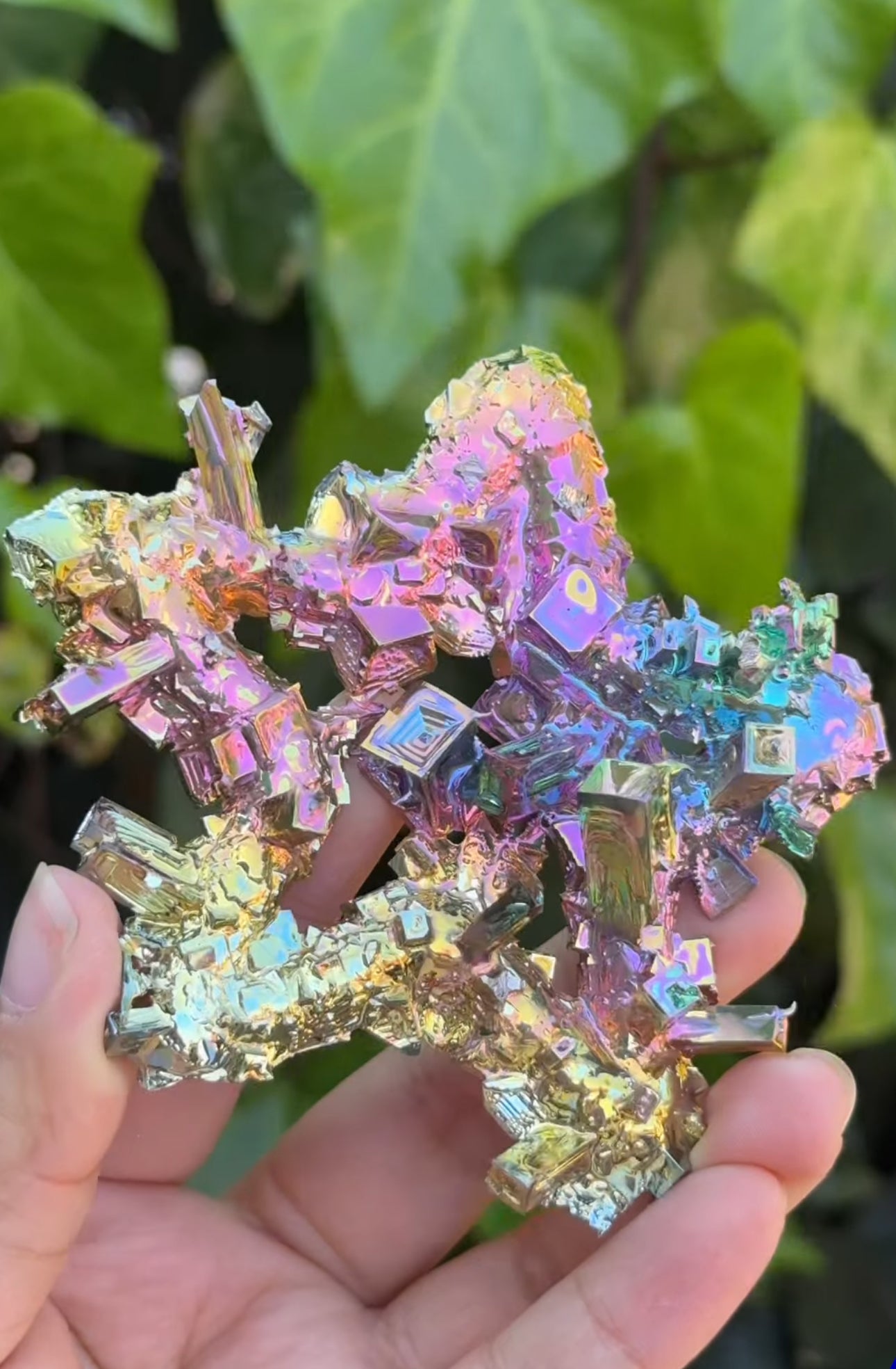 
                  
                    RESERVED LISTING - kc102620
                  
                