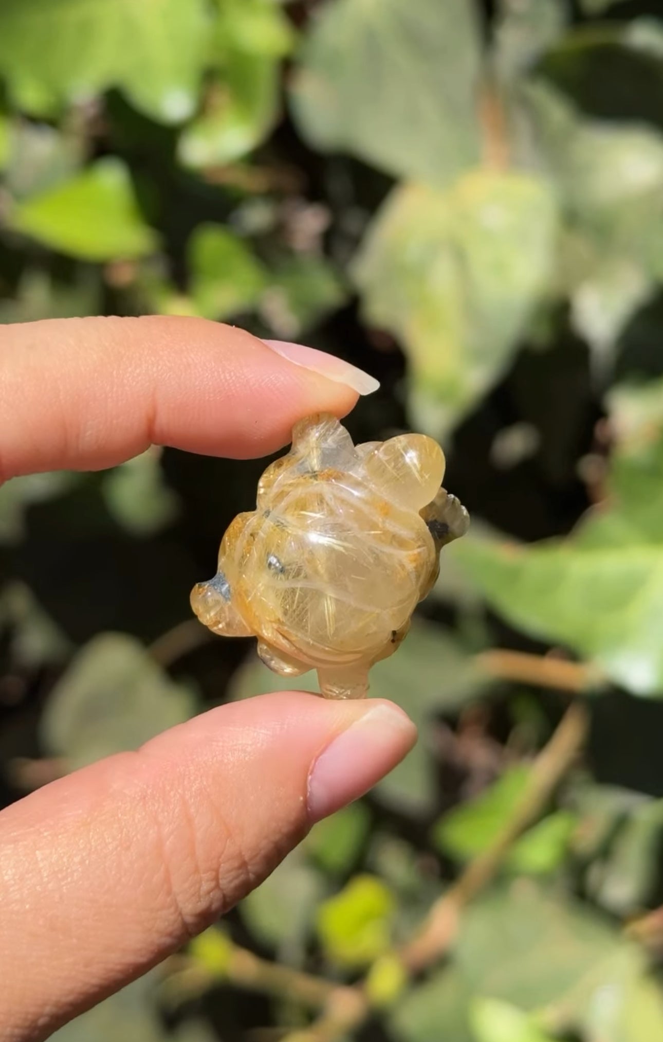 
                  
                    RESERVED LISTING - erinfetz
                  
                