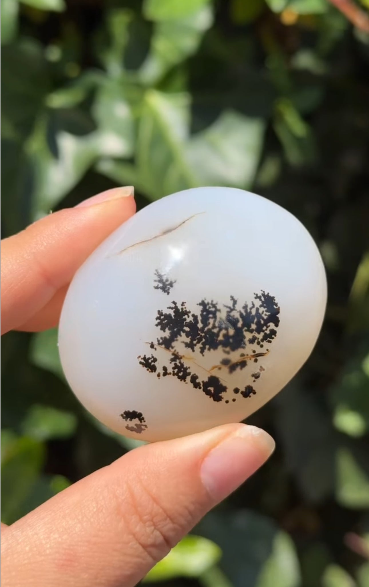 
                  
                    RESERVED LISTING - im_just_walkin_here
                  
                