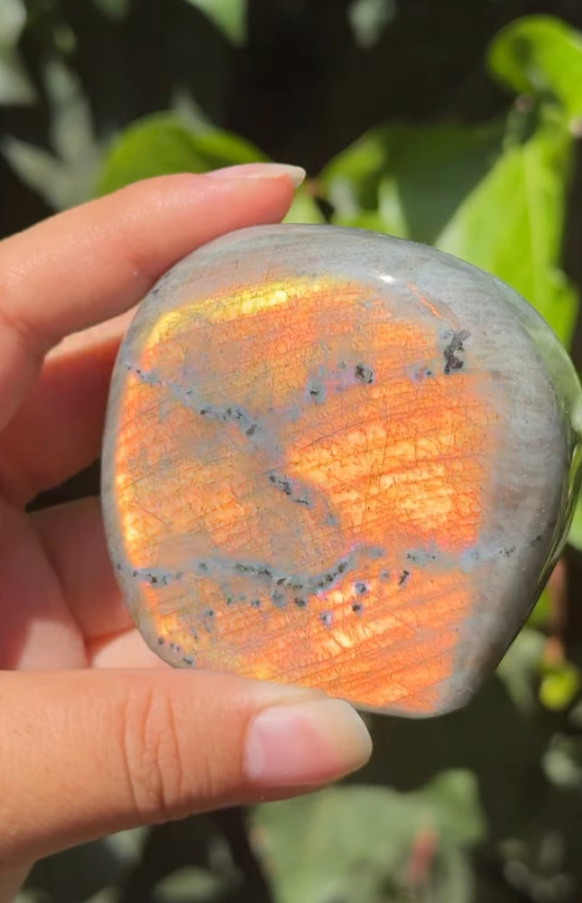 
                  
                    RESERVED LISTING - catniss_evergreen
                  
                