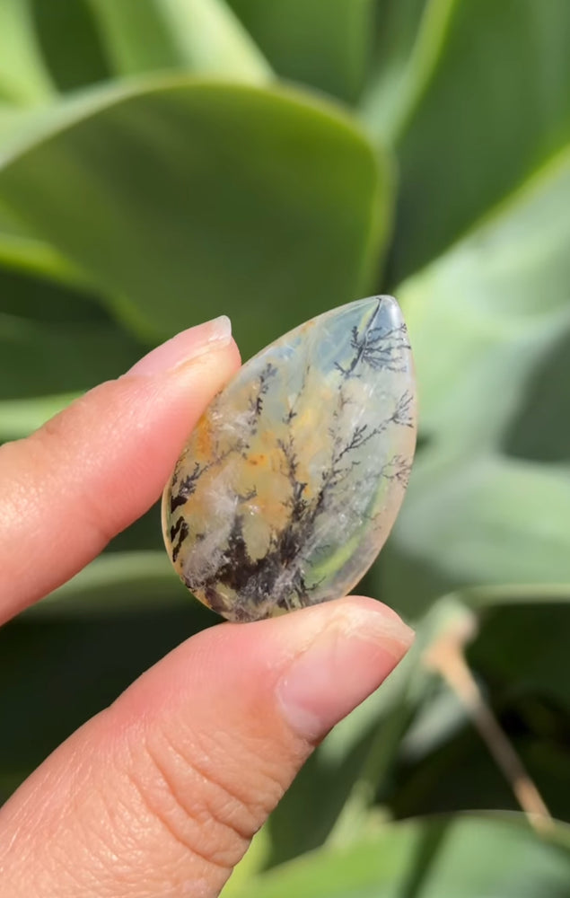 
                  
                    RESERVED LISTING - jval
                  
                